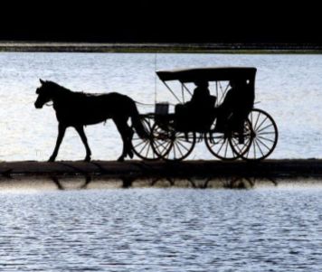 A horse-drawn carriage carries Scott and Kim Porzky along a road in the town of Lebanon, Wis., Sunday, May 3, 2009. (AP Photo/Watertown Daily Times/John Hart) ** NO SALES **